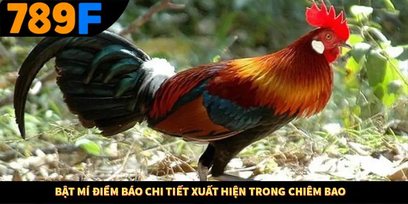 Bật mí điềm báo chi tiết xuất hiện trong chiêm bao